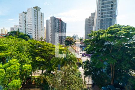 Vista do Quarto 1 de apartamento para alugar com 3 quartos, 78m² em Vila Campestre, São Paulo