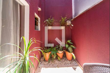 Jardim de Inverno de casa à venda com 3 quartos, 200m² em Vila Scarpelli, Santo André