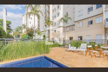 Apartamento à venda com 3 quartos, 58m² em Jardim Paranapanema, Campinas