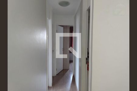 Apartamento à venda com 3 quartos, 65m² em Jardim Ipaussurama, Campinas