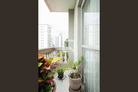 Sacada  de apartamento à venda com 2 quartos, 76m² em Baeta Neves, São Bernardo do Campo