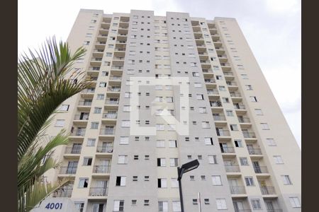 Apartamento à venda com 2 quartos, 53m² em Vila Mimosa, Campinas