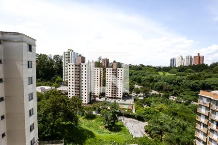 vistas  de apartamento para alugar com 2 quartos, 50m² em Jardim Ampliação, São Paulo