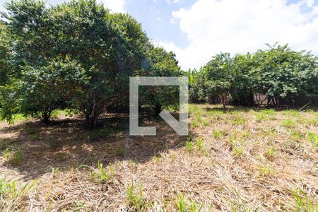 Casa de condomínio para alugar com 330m², 3 quartos e sem vaga Casa de condomínio para alugar com 330m², 3 quartos e sem vagaQuintal