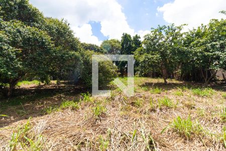 Casa de condomínio para alugar com 330m², 3 quartos e sem vaga Casa de condomínio para alugar com 330m², 3 quartos e sem vagaQuintal