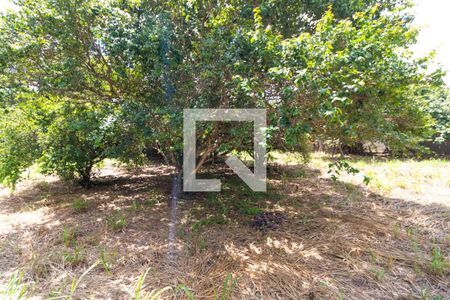 Casa de condomínio para alugar com 330m², 3 quartos e sem vaga Casa de condomínio para alugar com 330m², 3 quartos e sem vagaQuintal