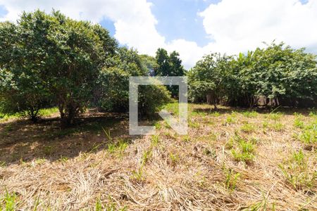 Casa de condomínio para alugar com 330m², 3 quartos e sem vaga Casa de condomínio para alugar com 330m², 3 quartos e sem vagaQuintal