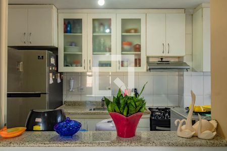 Cozinha de apartamento à venda com 2 quartos, 60m² em Vila Santa Catarina, São Paulo