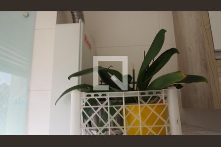 Cozinha e Área de Serviço de apartamento à venda com 2 quartos, 63m² em Jardim Ana Maria, Jundiaí