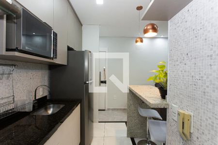 Cozinha de apartamento para alugar com 2 quartos, 48m² em Jardim América da Penha, São Paulo