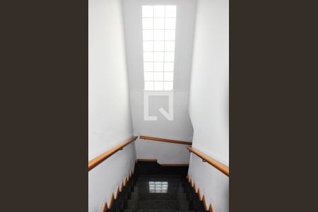Escada Interna para os Quartos de casa para alugar com 3 quartos, 110m² em Vila Nova Cachoeirinha, São Paulo