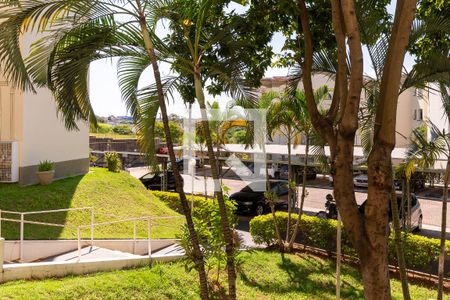 Vista da Sala de apartamento à venda com 2 quartos, 55m² em Jardim Capivari, Campinas