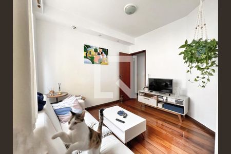 Sala  de apartamento à venda com 3 quartos, 100m² em Santo Antônio, Belo Horizonte