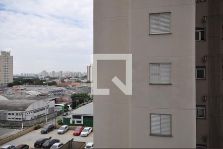 Vista do Quarto Suíte de apartamento à venda com 3 quartos, 63m² em Parque Novo Mundo, São Paulo