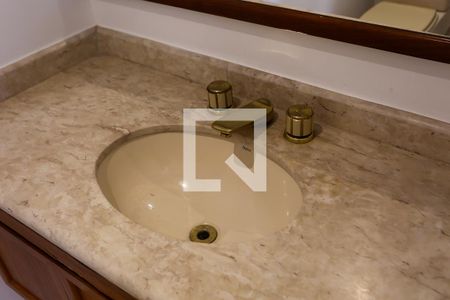 Lavabo de apartamento à venda com 5 quartos, 505m² em Paraíso do Morumbi, São Paulo