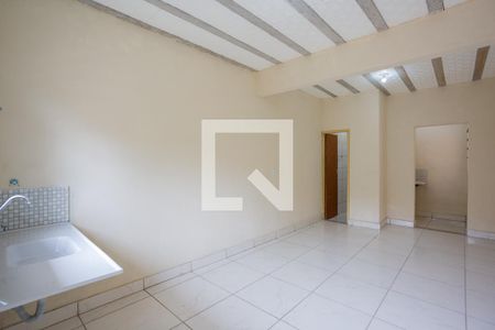 Sala/Cozinha/Quarto de casa de condomínio para alugar com 1 quarto, 26m² em Havaí, Belo Horizonte