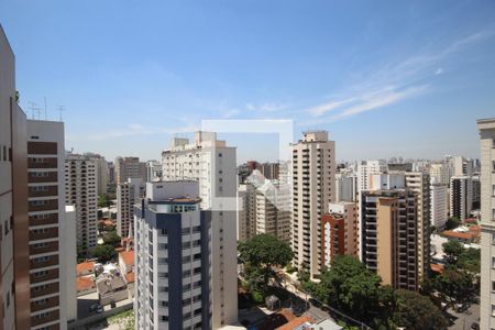 Foto 19 de apartamento à venda com 3 quartos, 314m² em Indianópolis, São Paulo