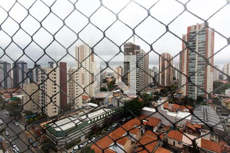 Vista da Varanda de apartamento para alugar com 2 quartos, 58m² em Tatuapé, São Paulo