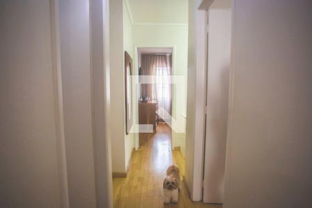 Corredor - Quartos de casa de condomínio à venda com 3 quartos, 112m² em Vila da Saúde, São Paulo