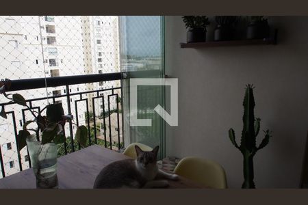 Sacada de apartamento à venda com 3 quartos, 76m² em Jardim Ermida I, Jundiaí