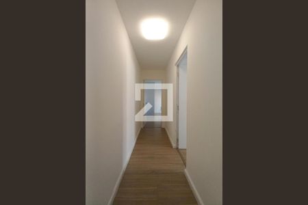 Corredor de apartamento para alugar com 2 quartos, 57m² em Vila Satúrnia, Campinas