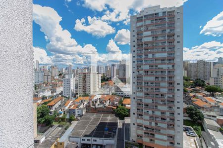 Sala - Vista  de apartamento à venda com 2 quartos, 44m² em Cambuci, São Paulo