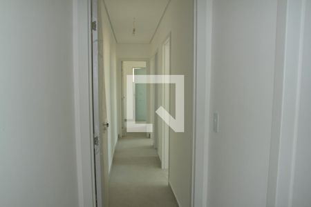 Corredor de apartamento para alugar com 3 quartos, 207m² em Santa Amelia, Belo Horizonte