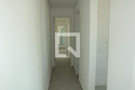 Corredor de apartamento para alugar com 3 quartos, 207m² em Santa Amelia, Belo Horizonte