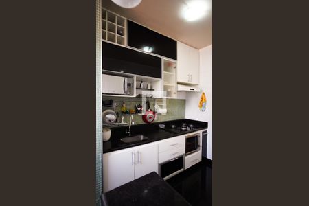 Cozinha de apartamento à venda com 2 quartos, 60m² em Santa Amelia, Belo Horizonte