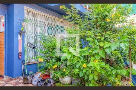 Casa à venda com 3 quartos, 360m² em Belenzinho, São Paulo