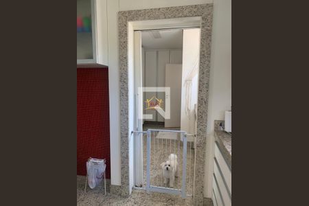 Apartamento à venda com 3 quartos, 121m² em Castelo, Belo Horizonte