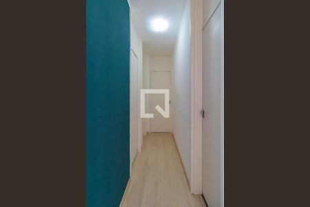 Corredor Quartos de apartamento para alugar com 3 quartos, 64m² em Vila Praia, São Paulo