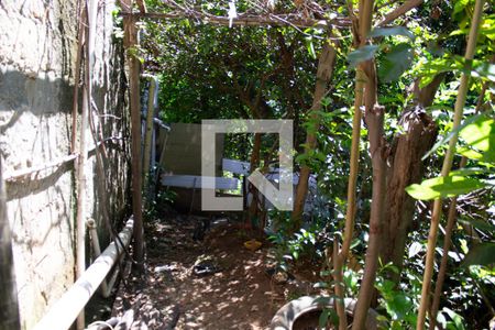 Casa para alugar com 360m², 5 quartos e 2 vagas Casa para alugar com 360m², 5 quartos e 2 vagasÁrea verde