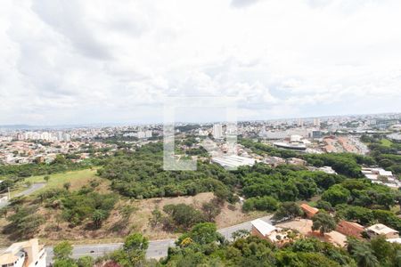 Vista do Quarto 1 de apartamento à venda com 2 quartos, 44m² em Juliana, Belo Horizonte