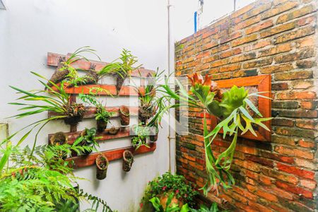 Jardim de inverno de casa à venda com 3 quartos, 180m² em Chácara Monte Alegre, São Paulo