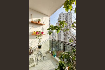 Sacada Sala de apartamento à venda com 3 quartos, 82m² em Parque Mandaqui, São Paulo
