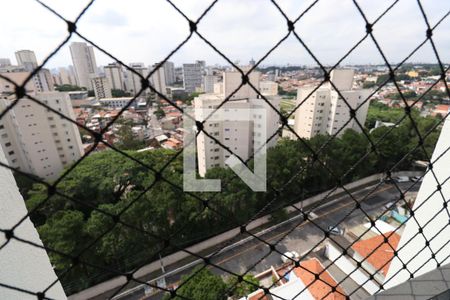 Vista da Sala de apartamento para alugar com 2 quartos, 56m² em Vila Paulista, São Paulo
