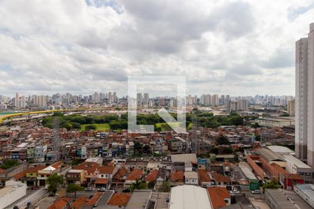 Vista - Quarto 1 de apartamento para alugar com 3 quartos, 59m² em Quinta da Paineira, São Paulo
