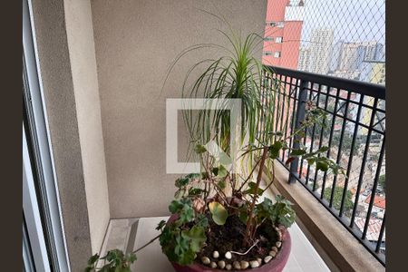 Sacada de apartamento à venda com 2 quartos, 69m² em Chácara Inglesa, São Paulo