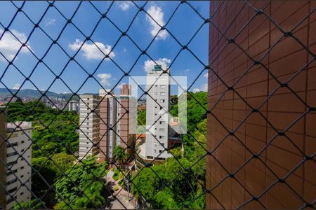 Vista de apartamento à venda com 3 quartos, 95m² em Luxemburgo, Belo Horizonte
