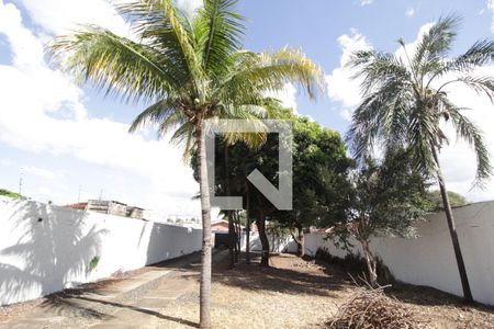 Quintal de casa para alugar com 2 quartos, 139m² em Martins, Uberlândia