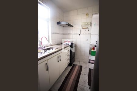 Cozinha de apartamento para alugar com 2 quartos, 150m² em Alípio de Melo, Belo Horizonte