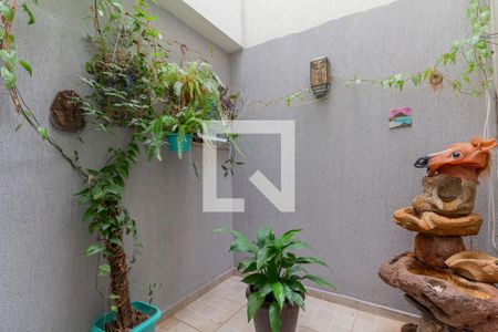 Jardim de Inverno de casa para alugar com 3 quartos, 150m² em Penha de França, São Paulo