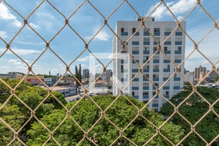 Vista Sala de Estar/Jantar  de apartamento à venda com 3 quartos, 75m² em Botafogo, Campinas