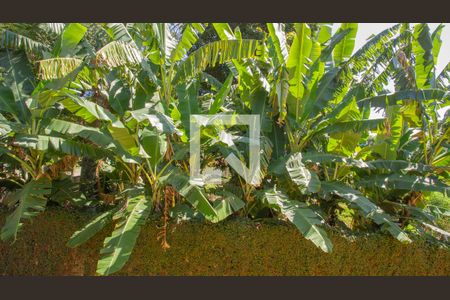 Casa à venda com 440m², 4 quartos e 6 vagas Casa à venda com 440m², 4 quartos e 6 vagasVista da Suíte