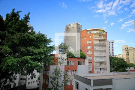 Vista Sala de apartamento à venda com 3 quartos, 116m² em Carmo, Belo Horizonte
