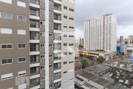 Apartamento para alugar com 1 quarto, 33m² em Varzea do Glicerio, São Paulo