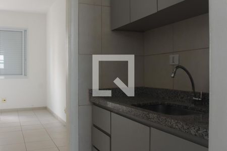 cozinha de apartamento para alugar com 1 quarto, 30m² em Santa Ifigênia, São Paulo