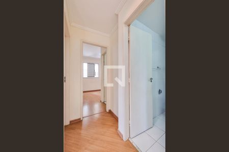 Corredor de apartamento para alugar com 2 quartos, 62m² em Jardim Augusta, São José dos Campos