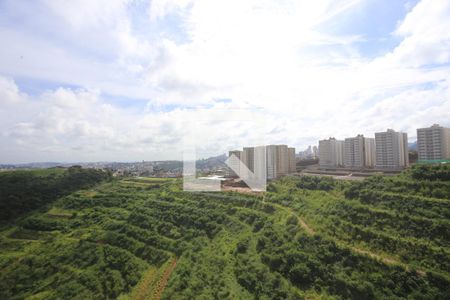 Vista de apartamento à venda com 2 quartos, 46m² em Palmeiras, Belo Horizonte